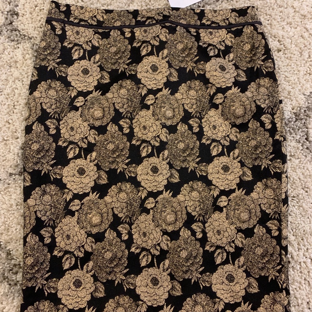 Ann Taylor Pencil Skirt